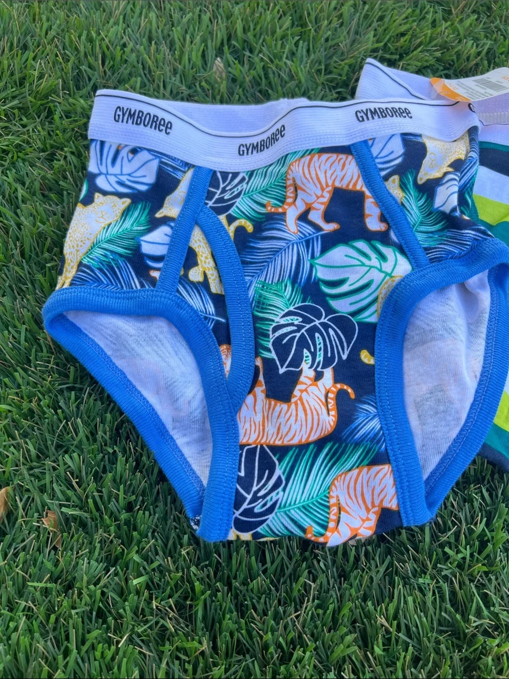Gymboree Boys' Blue, Green & Multi-Striped Briefs Set XS (3-4)